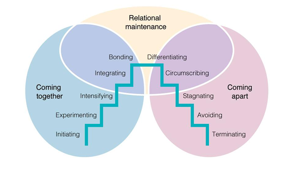 Knapp's Stages of Relational Development Knapp's Stages of Relational Development
